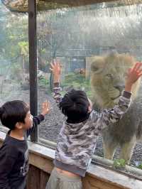 英國野生動物園酒店