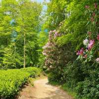 National Trust Treasure Stourhead