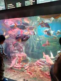 Shanghai Ocean Aquarium