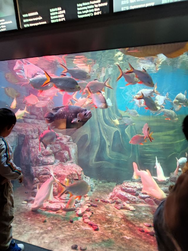 Shanghai Ocean Aquarium