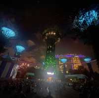superTrees and night show at Singapore