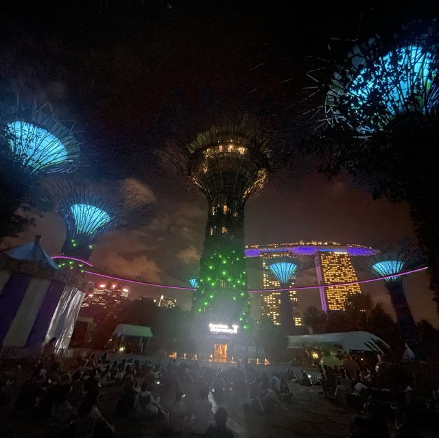 superTrees and night show at Singapore