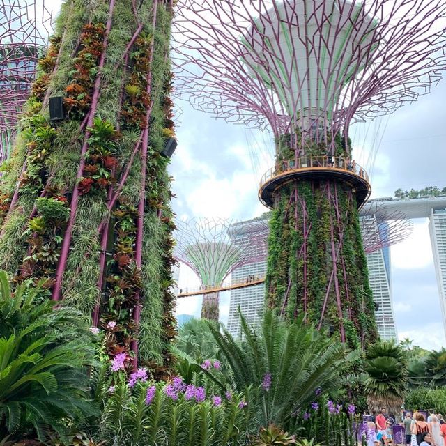 Sensational Singapore 