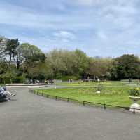 아일랜드 더블린, 유명한 공원. St Stephen’s Green 🌳