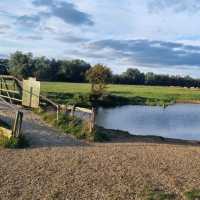 Serene stroll through Sudbury Water Meadows