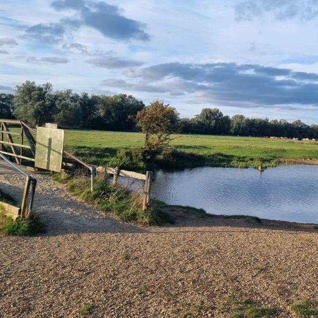 Serene stroll through Sudbury Water Meadows