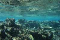 Exploring the Great Barrier Reef