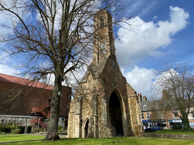 Tower Gardens: A Verdant Oasis in King’s Lynn