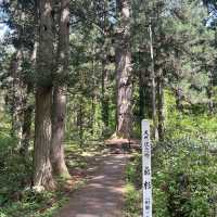 Historical Gassan shrine My. Haguro