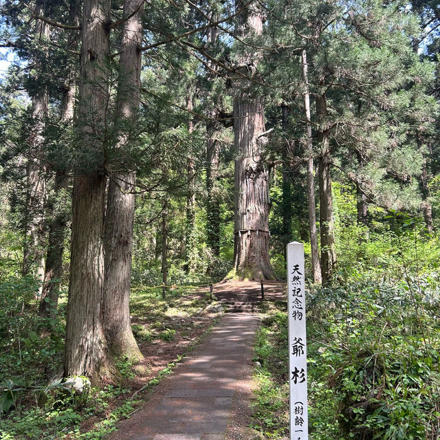 Historical Gassan shrine My. Haguro