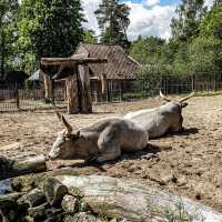 Riga National Zoological Garden 🗺️