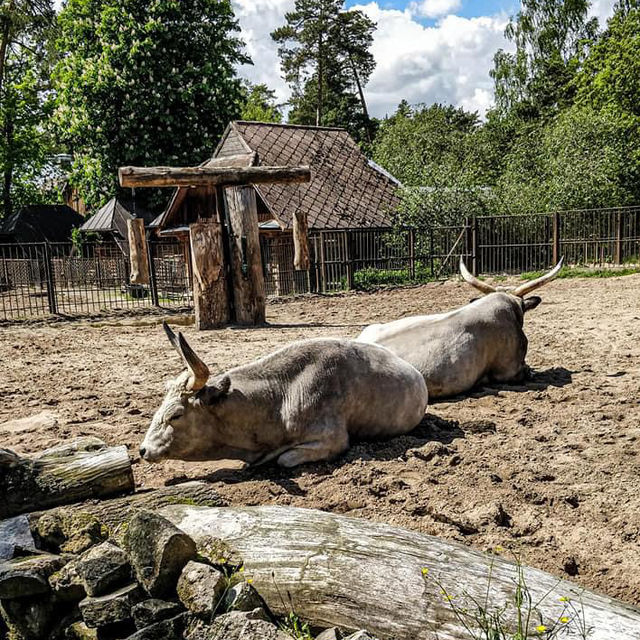 Riga National Zoological Garden 🗺️