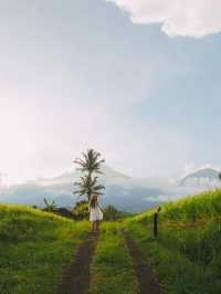 Jatiluwih Rice Terraces