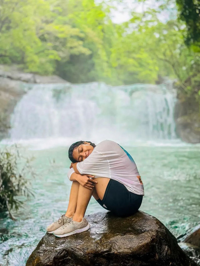 고아: 인도 해안의 열대 낙원 🏝️