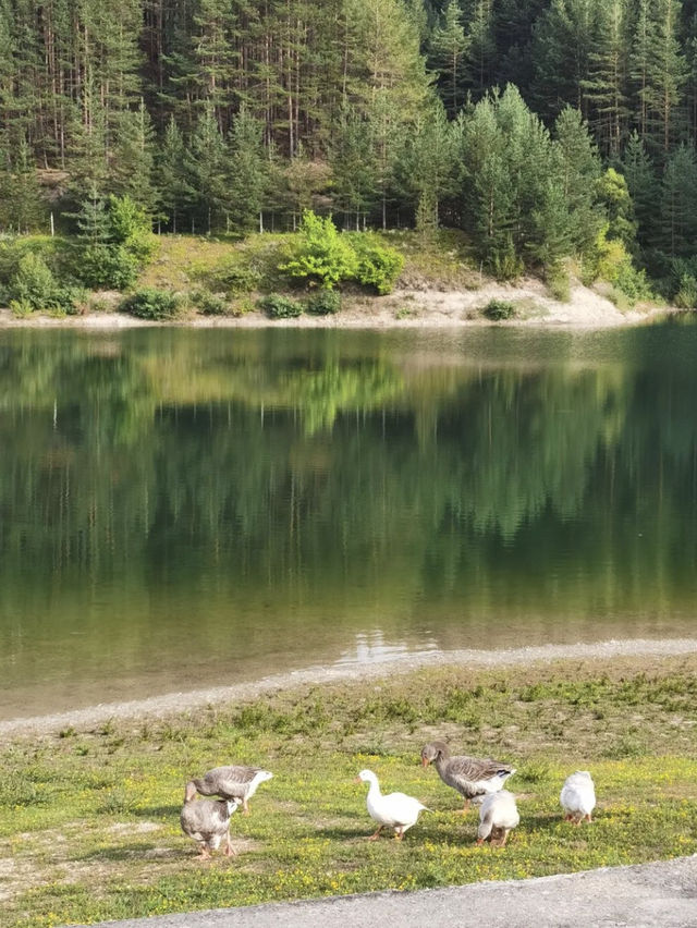 Bansko is pure nature 🛬