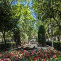 Majorca - Palma Itinerary 1 DAY ✨⭐✨