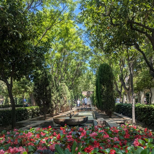 Majorca - Palma Itinerary 1 DAY ✨⭐✨