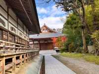 Temple and autumn beauty 