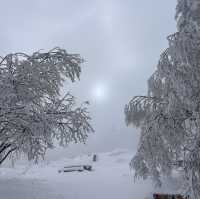 Bulgaria-Sofia-Vitosha Mountain 