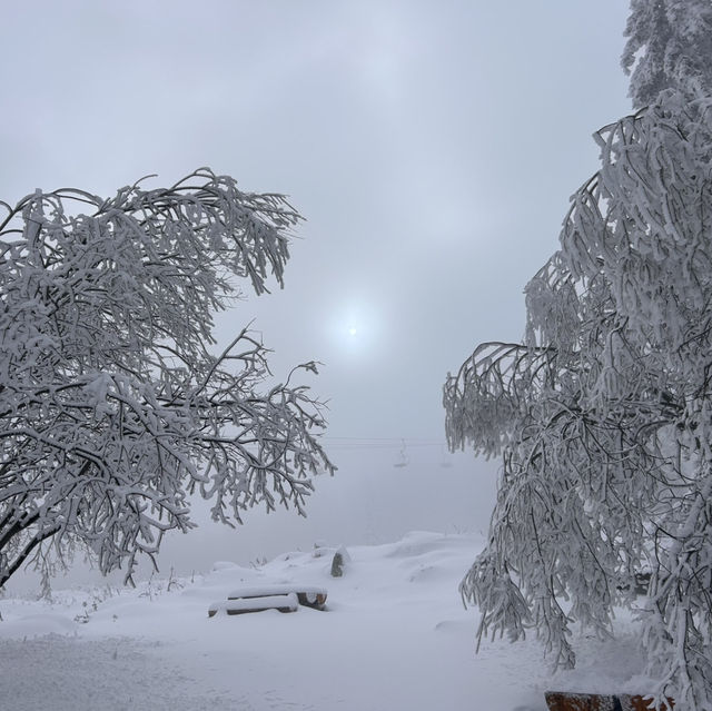 Bulgaria-Sofia-Vitosha Mountain 