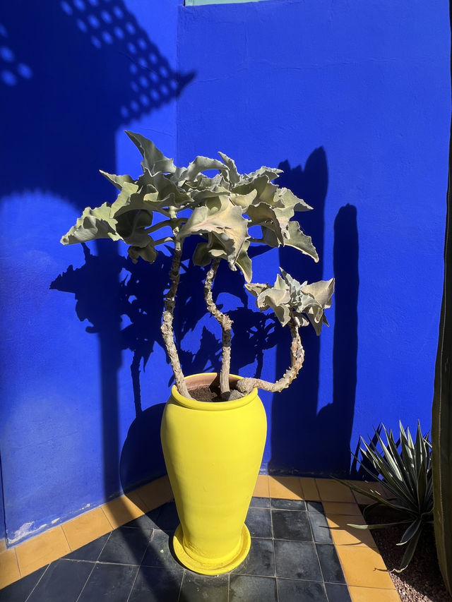 머조렐 정원