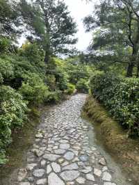 🌿✨ Zen & Gold: Kyoto’s Timeless Beauty at Ryoanji & Kinkakuji