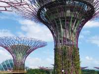 Singapore is truly another world! 