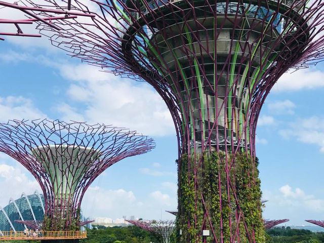 Singapore is truly another world! 