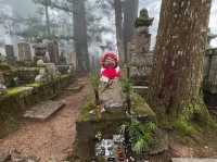 Surrounded by cedar trees over 800 years old