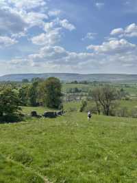 Bowland in the spring 