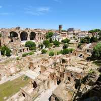 Gladiator’s Ground: Inside the Mighty Colosseum