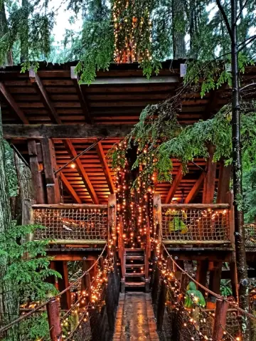 A Forest Escape Full of Wonder at Capilano