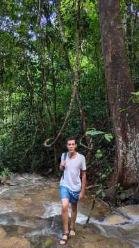Jungle Trekking in Khao Sok – Guided or Solo? Here’s What You Need to Know 🥾🌴