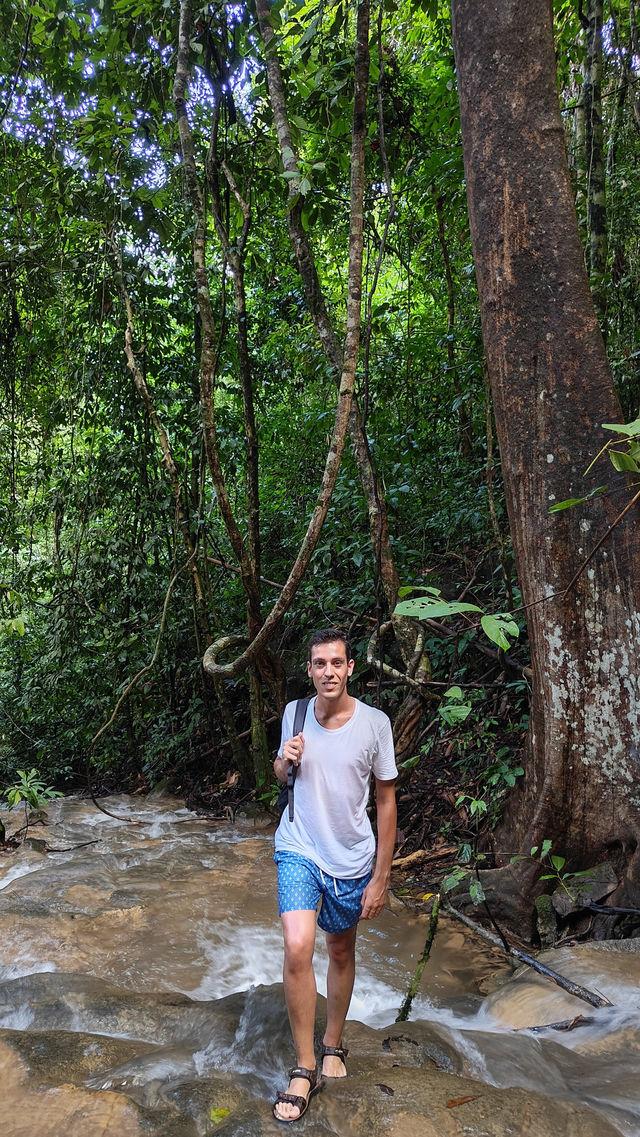 Jungle Trekking in Khao Sok – Guided or Solo? Here’s What You Need to Know 🥾🌴