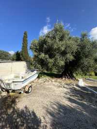 Kefalonia Island is a real pearl of the Ionian Sea!
