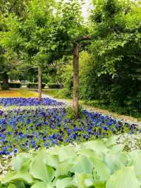 Gorky Park: Moscow’s Green Heart of Culture and Leisure