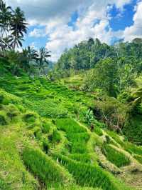 Tegallalang Rice Terraces, Bali: A Green Paradise of Harmony and Heritage