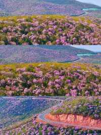 Liangshan Yi-Where Mountains Meet Minority Culture
