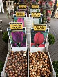 🇳🇱 荷蘭阿姆斯特丹:辛格鮮花市場(Bloemenmarkt) 💐