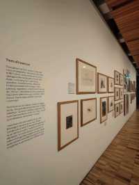 Whitworth’s Tree Gallery — Where Roots Speak and Branches Remember
