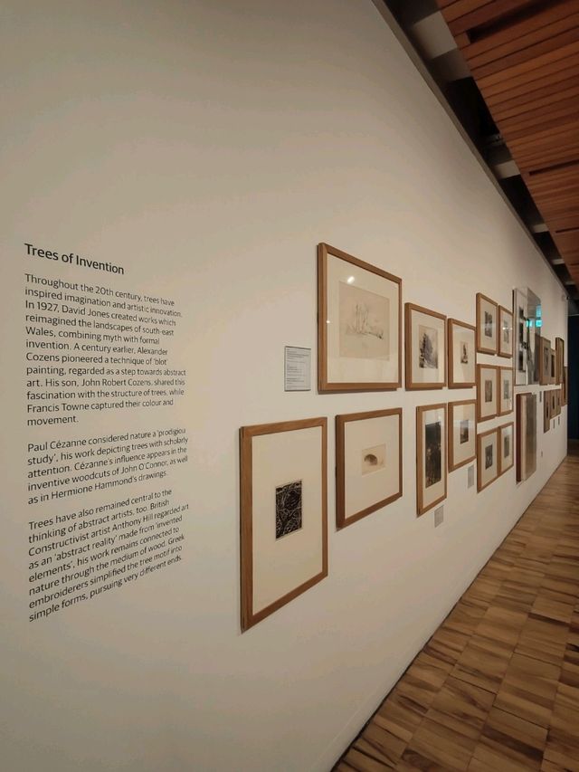 Whitworth’s Tree Gallery — Where Roots Speak and Branches Remember Whitworth’s Tree Gallery — Where Roots Speak and Branches Remember