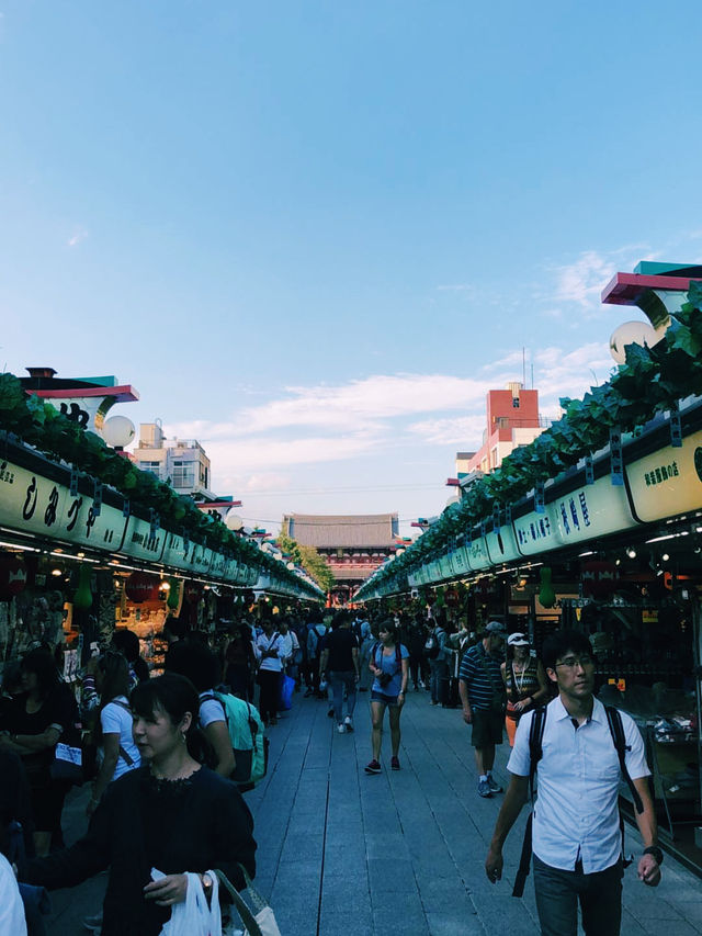Tokyo on a Budget: Sushi, Shrines & Street Life