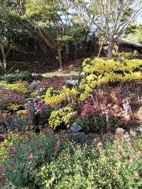 Jeju Island 