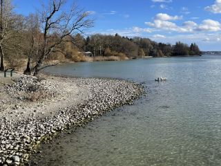 เกาะไมเนา (Insel Mainau) ตั้งอยู่ทางตะวันตกเฉียงเหนือของทะเลสาบคอนสแตนซ์ (Bodensee) ในรัฐบาเดิน-เวือร์ทเทิมแบร์ค ประเทศเยอรมนี ใกล้กับเมืองคอนสแตน