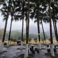 Misty Mountain Meanderings 