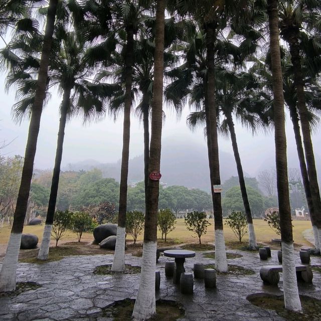 Misty Mountain Meanderings 