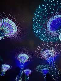 Garden’s by the Bay | Singapore