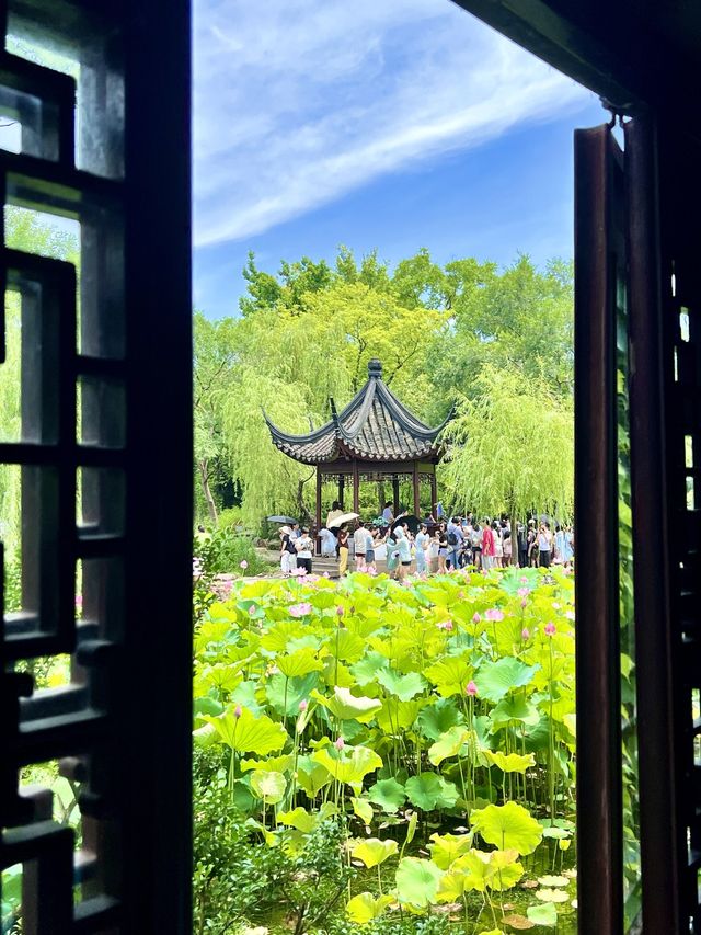 ハスの花が美しい蘇州の世界文化遺産「拙政園」
