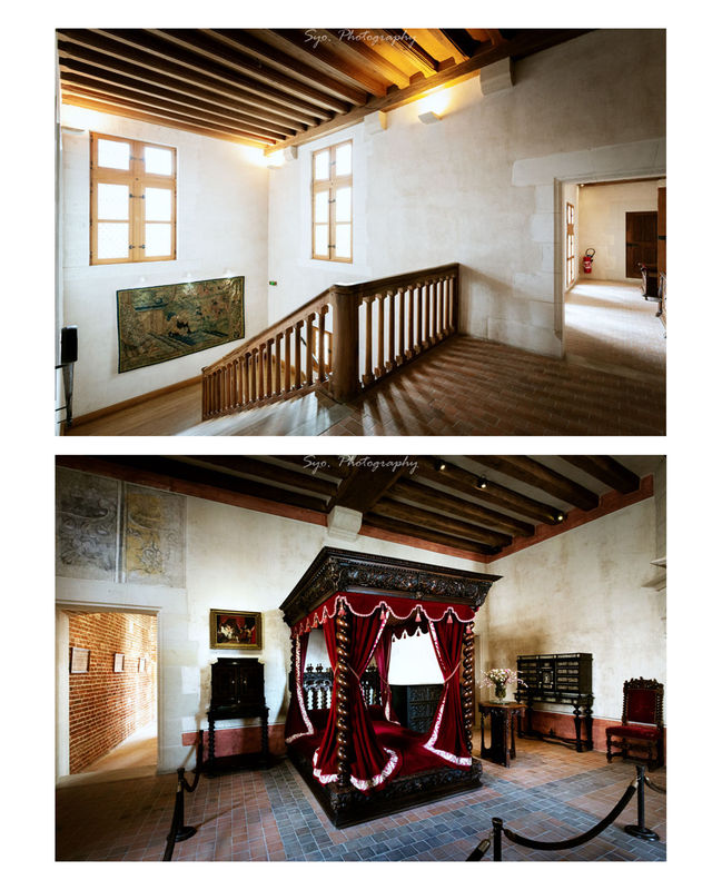 Da Vinci's residence during the last three years of his life - Château du Clos Lucé