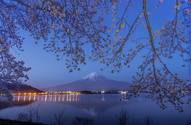 Mt. Fuji this year and last year.